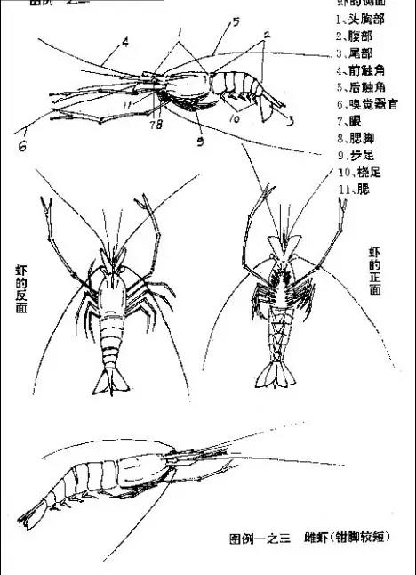 微信图片_20210913185938.jpg